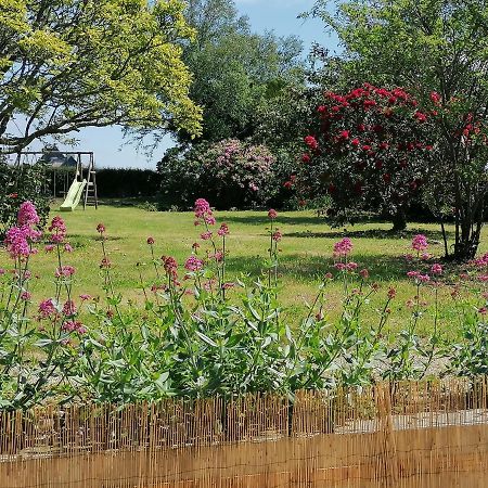 Gite 2 Pers Proche Plage Avec Jardin Clohars-Carnoët Εξωτερικό φωτογραφία